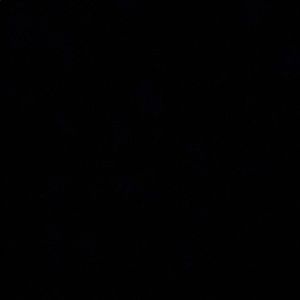 Meet your Posher, Rodney